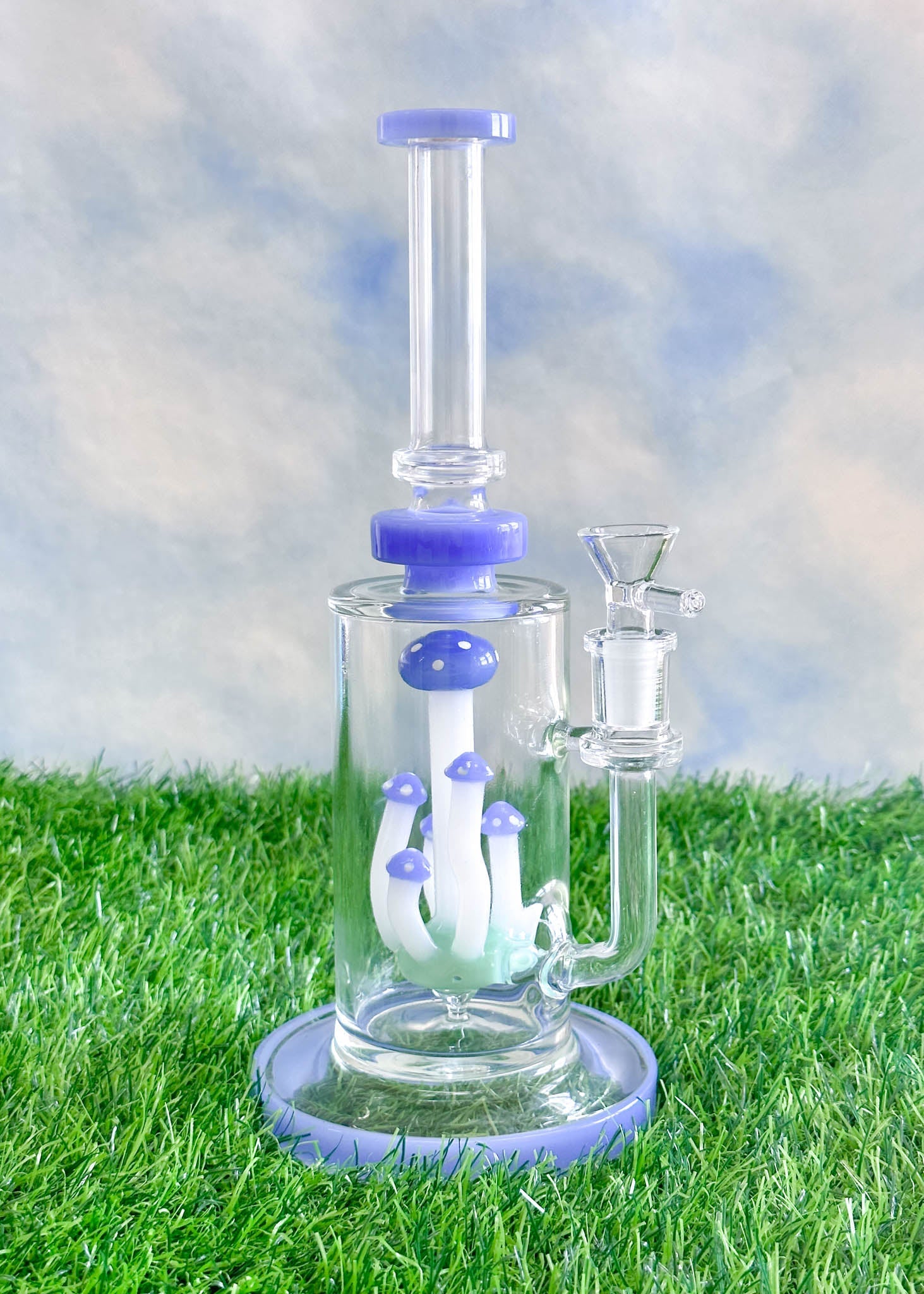 mushroom terranium bong
