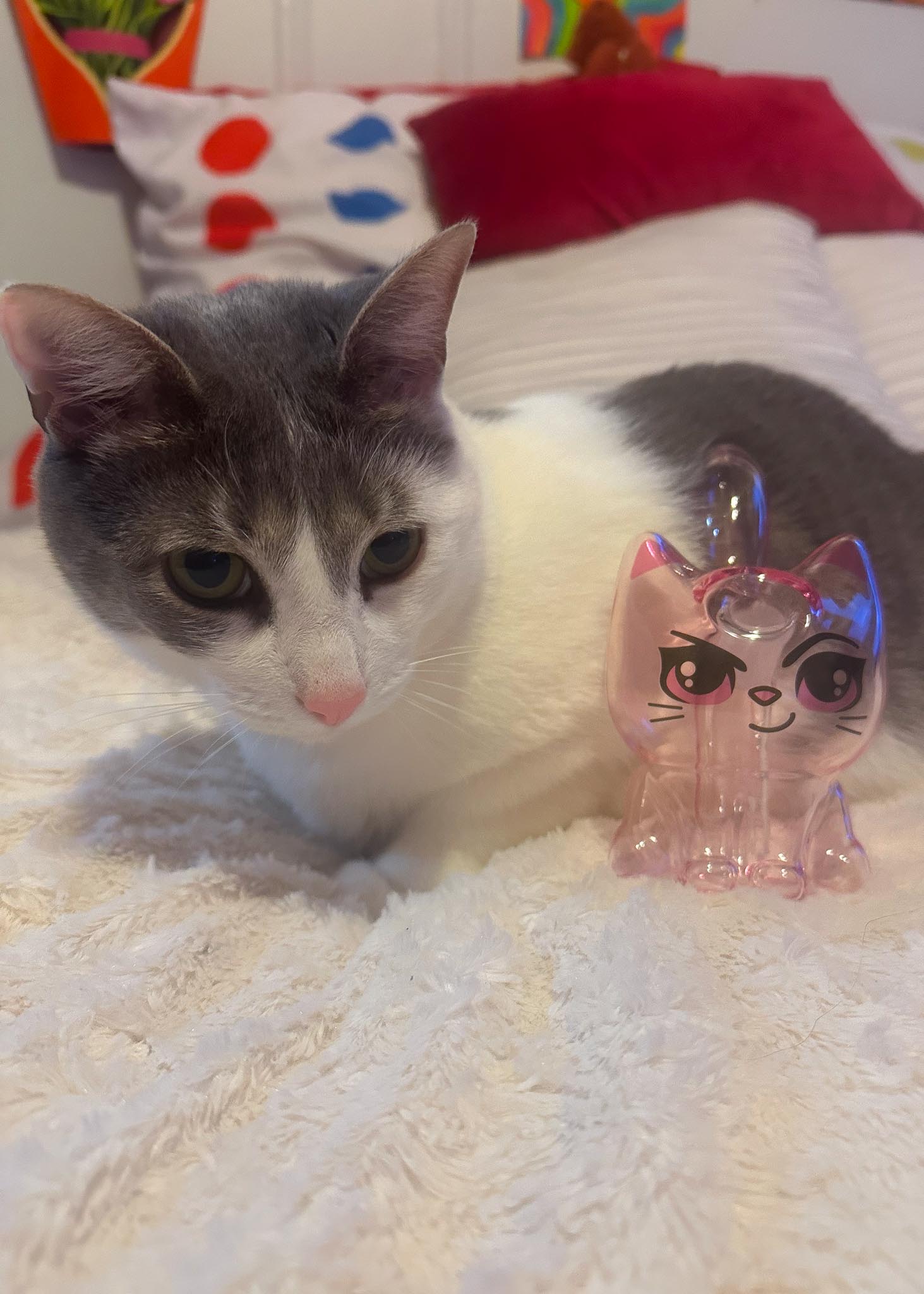 CANNACAT BUBBLER