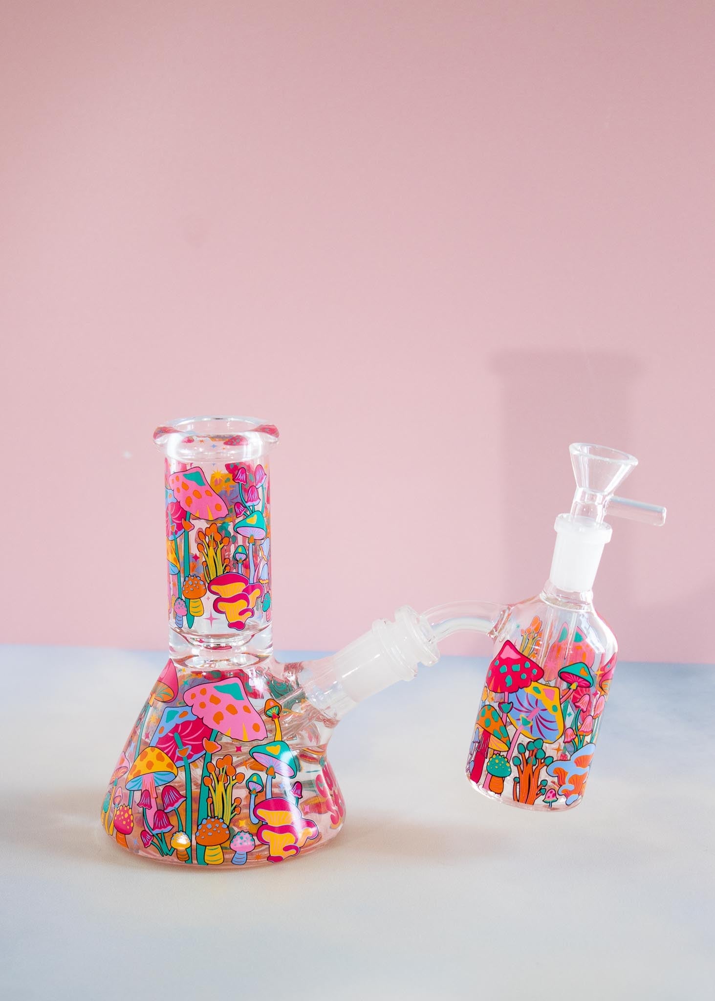 colorful mushroom ash catcher