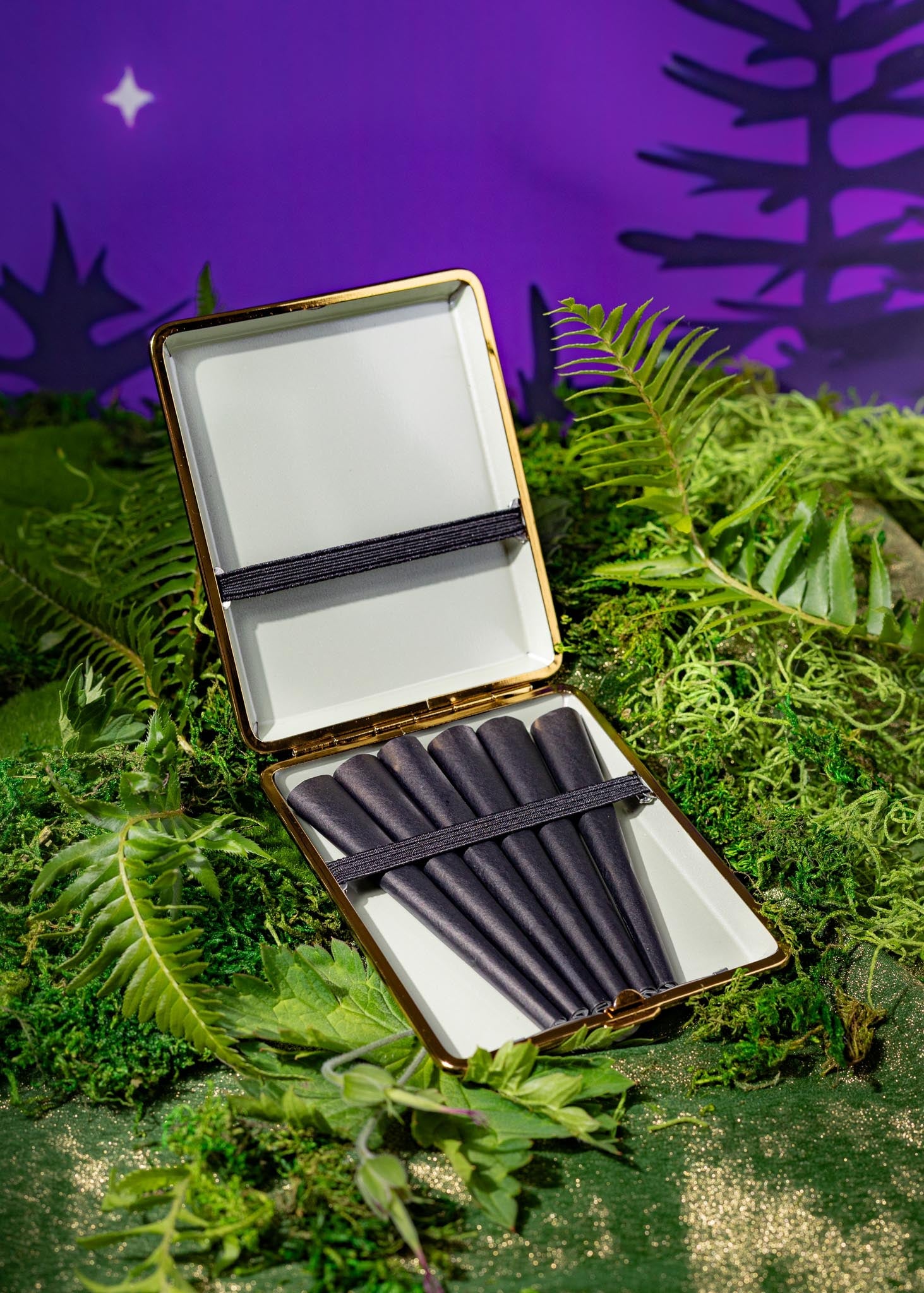 MIDNIGHT FOREST JOINT CASE