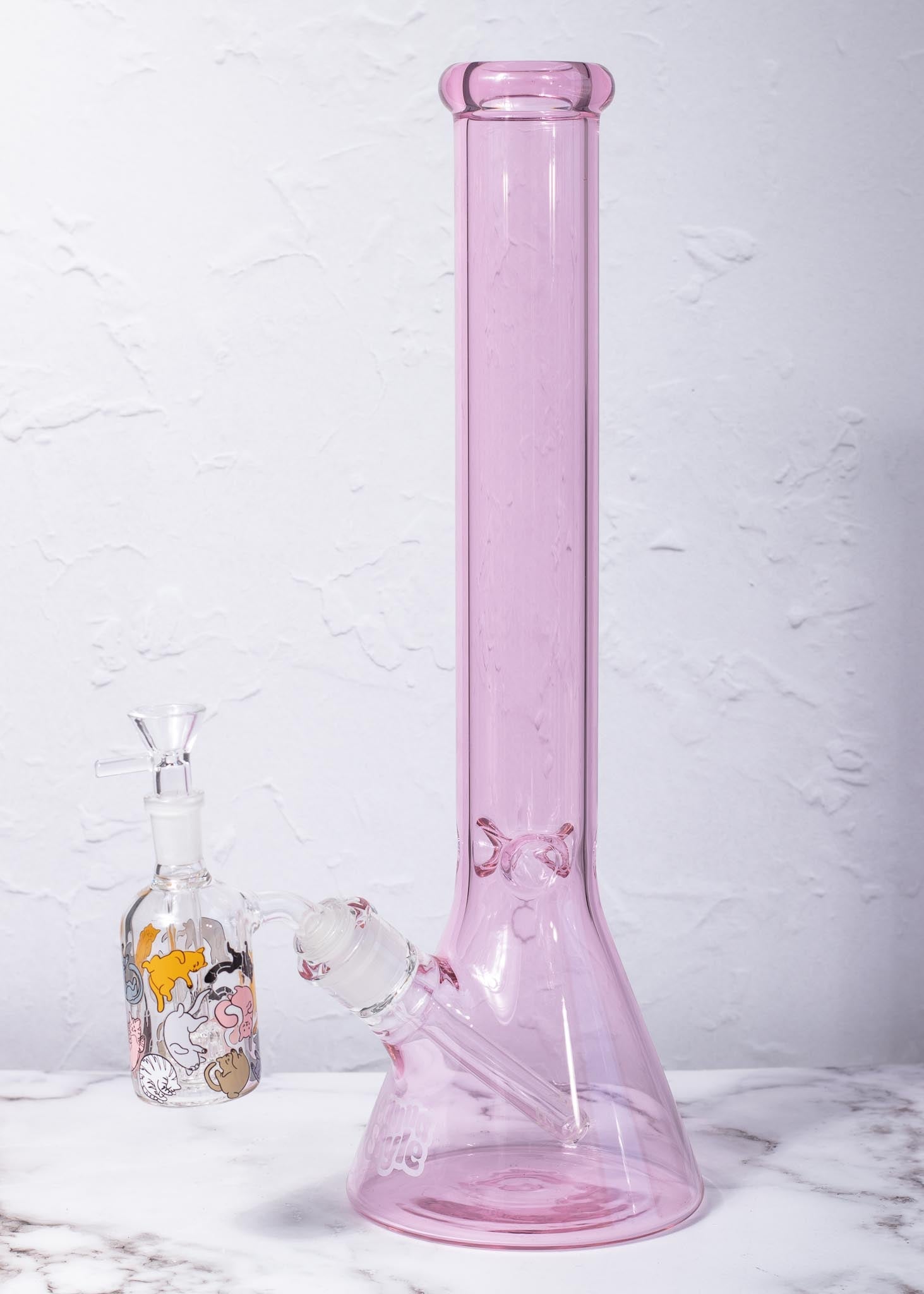 CAT ASH CATCHER