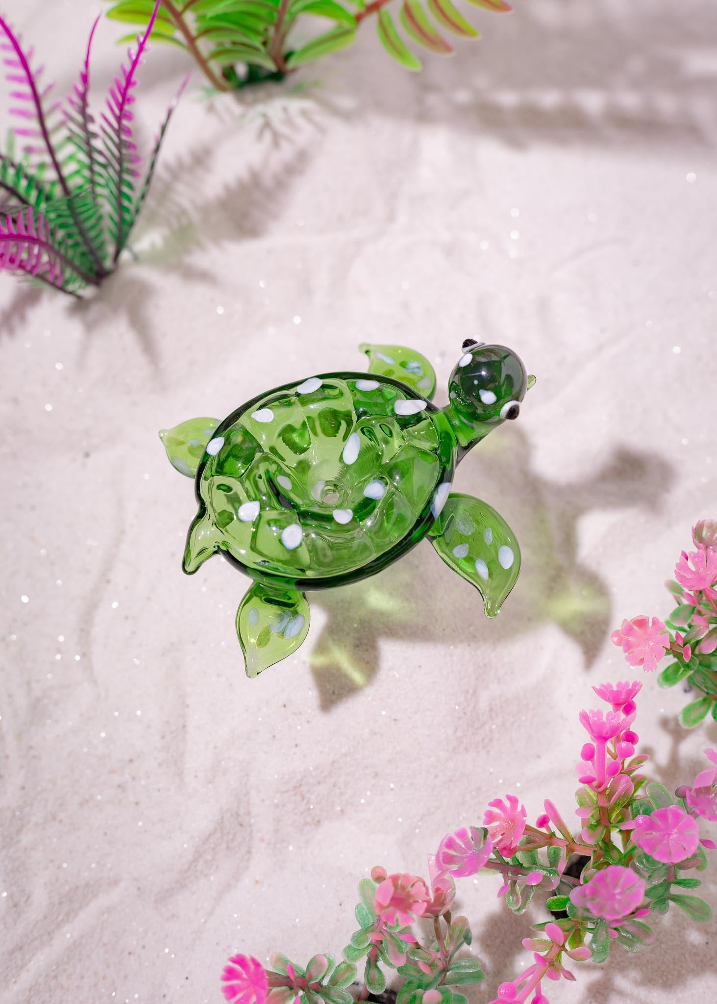 TURTLE BOWL