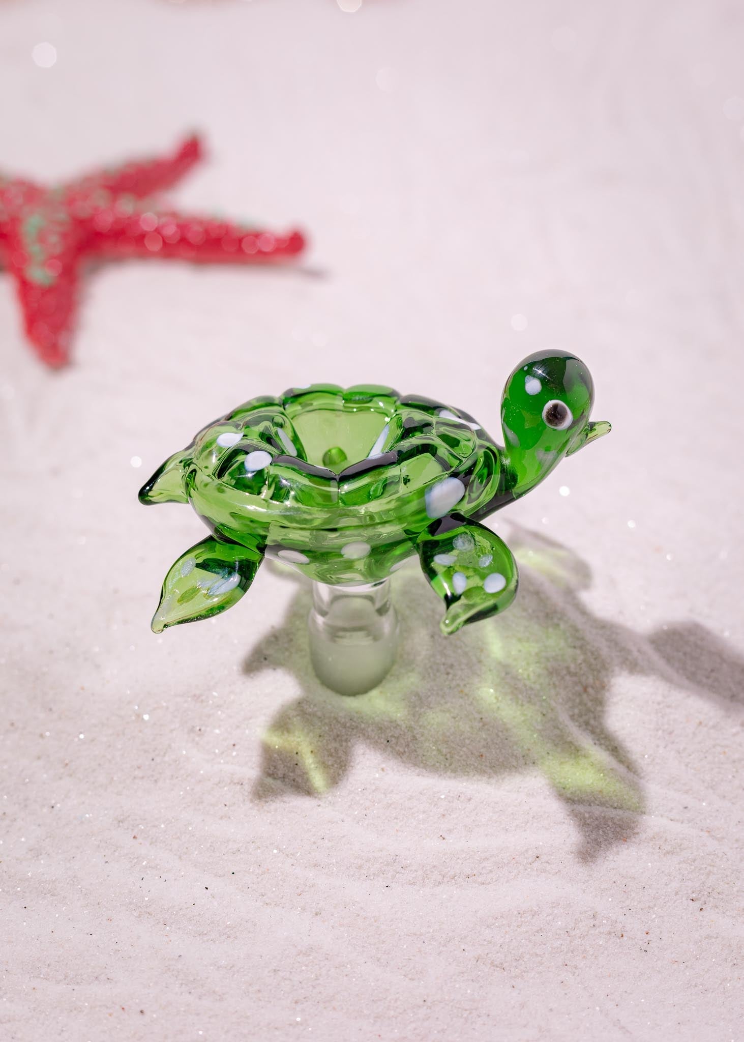 TURTLE BOWL