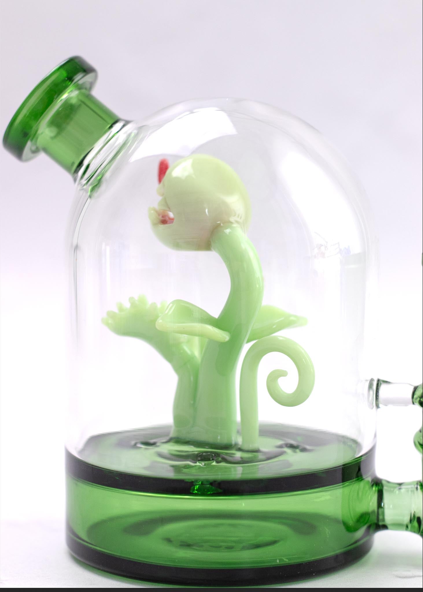 VENUS FLY TRAP CLOCHE BONG