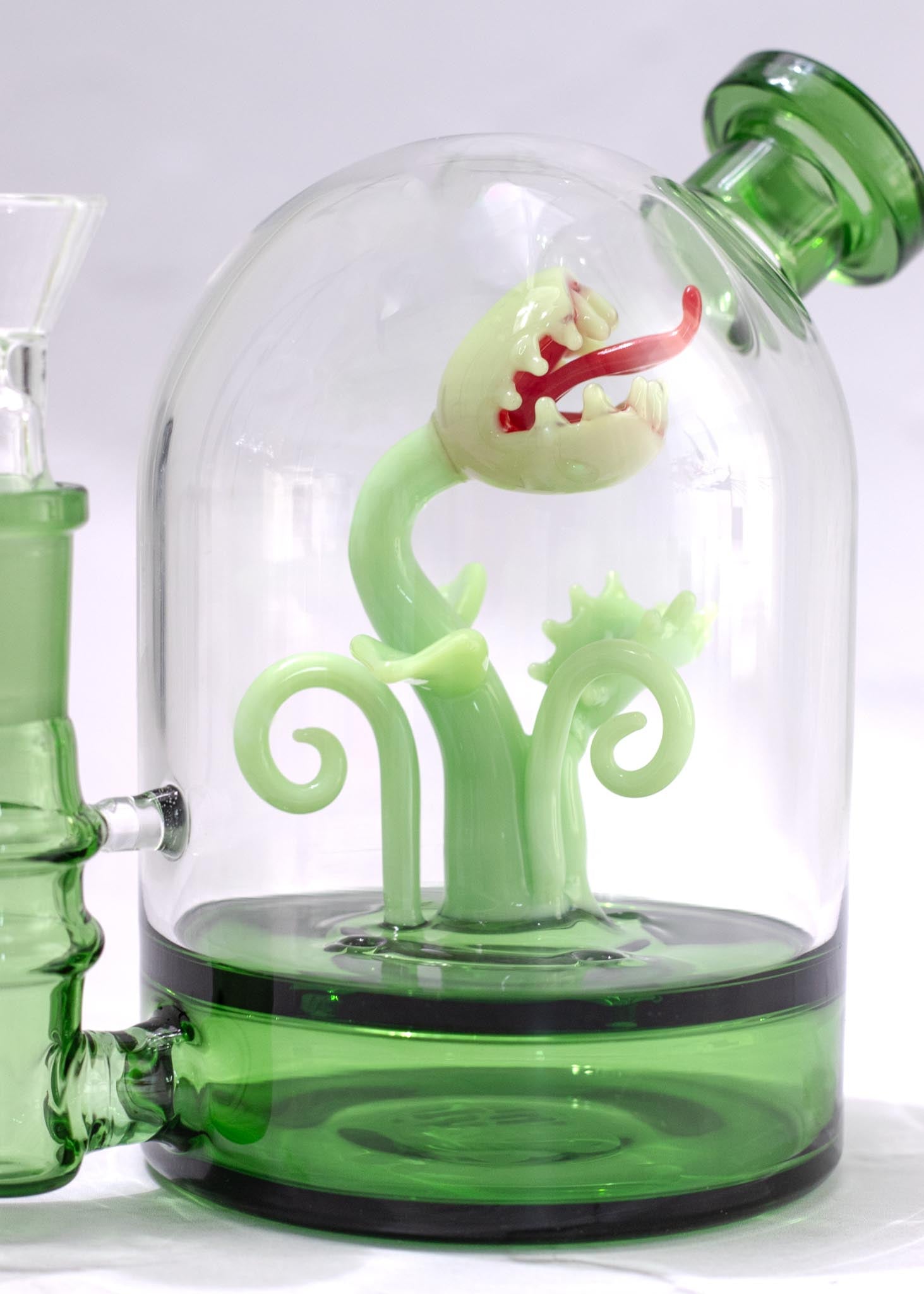 VENUS FLY TRAP CLOCHE BONG